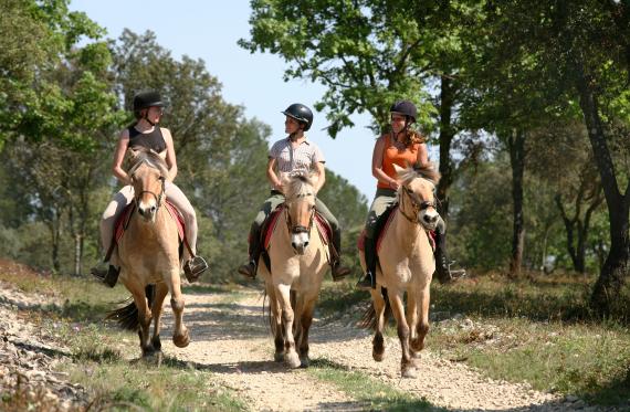 Rutas a caballo